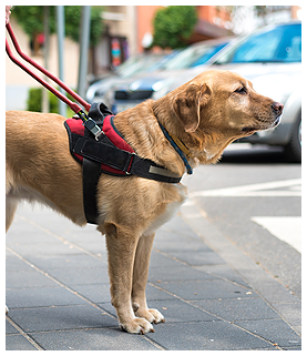 Group of people fighting addictions